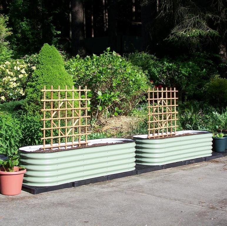 The setup and location of raised garden beds