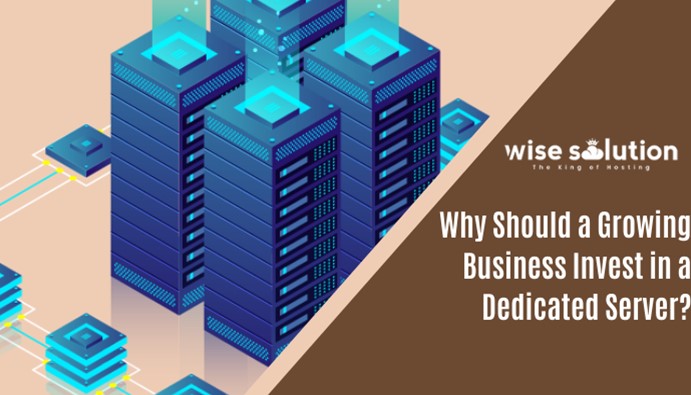 Why Should a Growing Business Invest in a Dedicated Server?