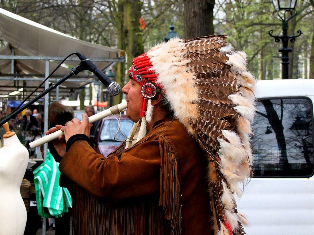 A Quick Evolutionary Glimpse of Native American Music