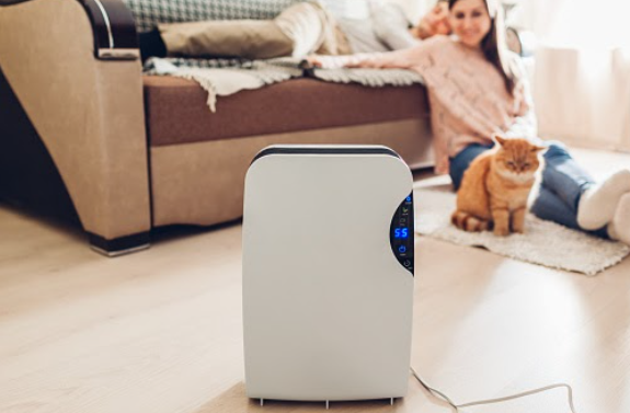 The Importance of Dehumidifiers and Purifiers In Our Lives