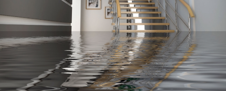 The Water Damage Restoration Survival Guide