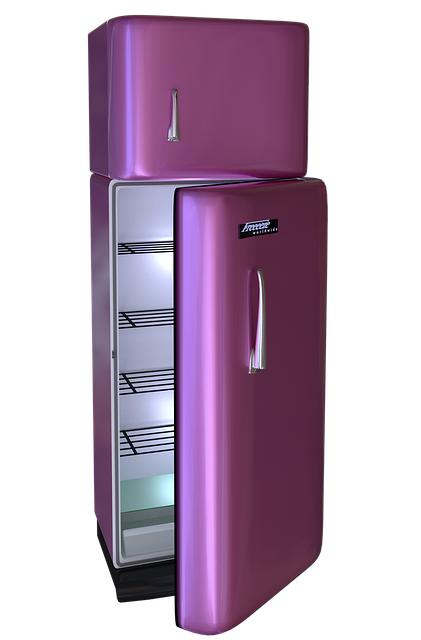 fridge leak
