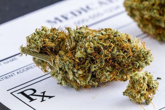 What is Bubba Kush and Where Can You Buy It?