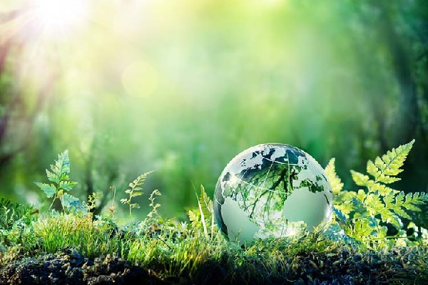 Environmental Sustainability: How Organisations And Businesses Can Reduce Carbon Footprints