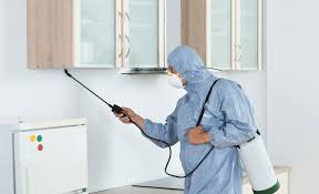 Commonly Asked Questions About Professional Pest Control Services