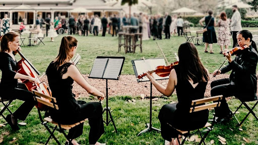 How To Choose String Quartet For Your Wedding In Brisbane