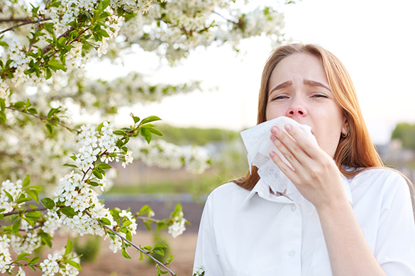 Using Essential Oils to Relieve Those Pesky Allergies