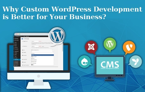 Why Should You Consider Custom WordPress Development 